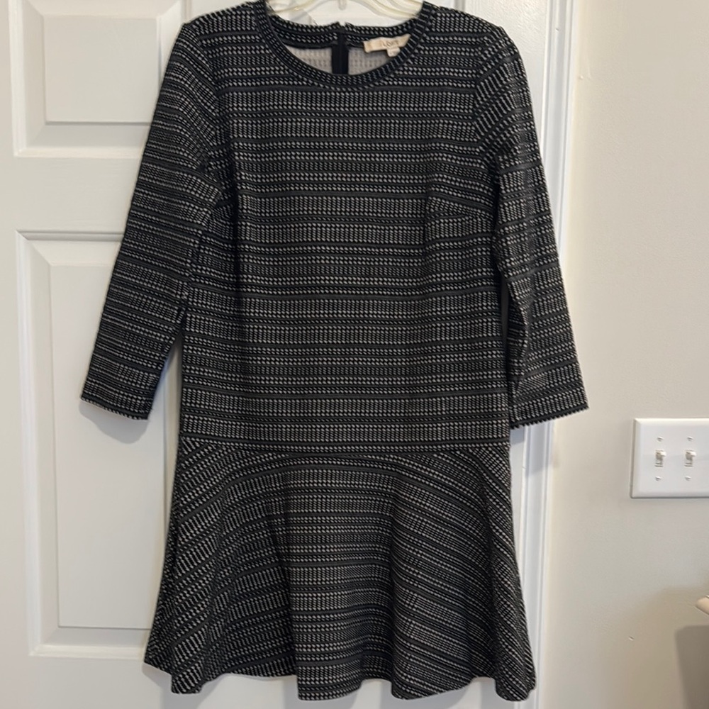 Loft Drop Waist Dress